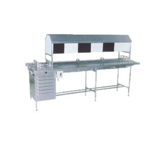 Online Inspection Conveyor